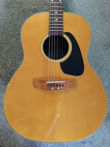 Acoustic bowlback guitar
