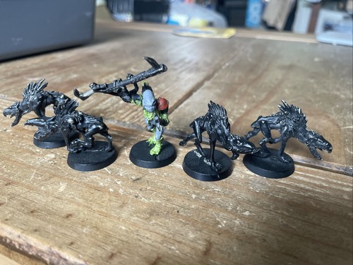 Warhammer 40k tau - kroot, shaper