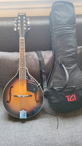 String mandolin - string,