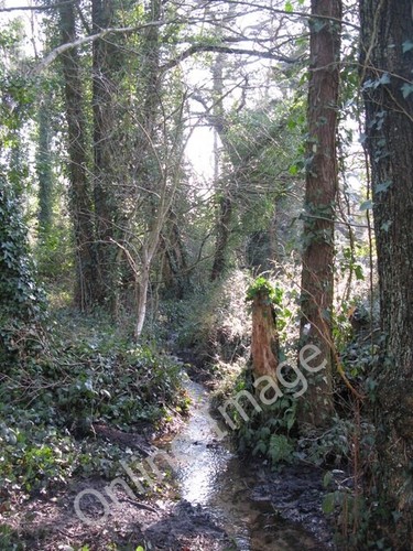 Photo 6x4 the river - 6x4,