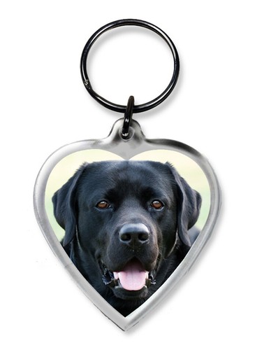 Dog keyrings heart shape pug - dog,