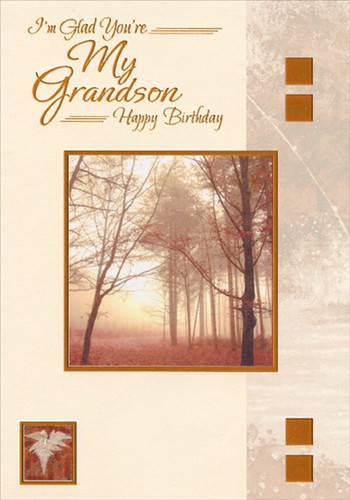 Glad tall trees in orange - tall,