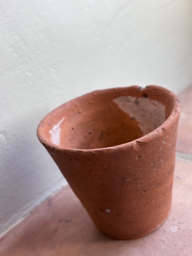 Vintage terracotta plant - terracotta, pot