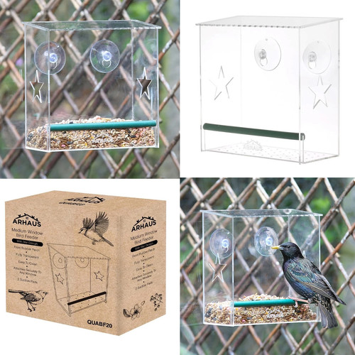 Glass window bird - glass,