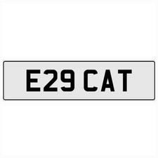 E29 CAT CATH CATHY CATS
