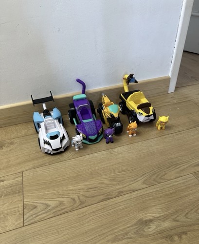 Paw patrol cat pack - paw, set