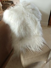 Natural White Real Icelandic