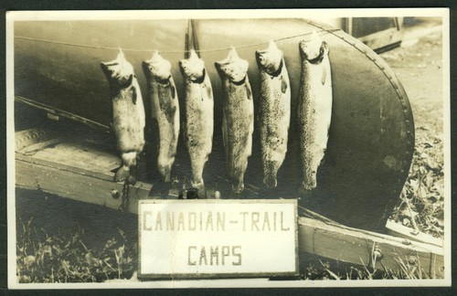 Catch trout at - a, of