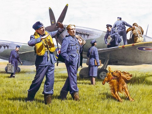 Icm raf pilots ground - icm,