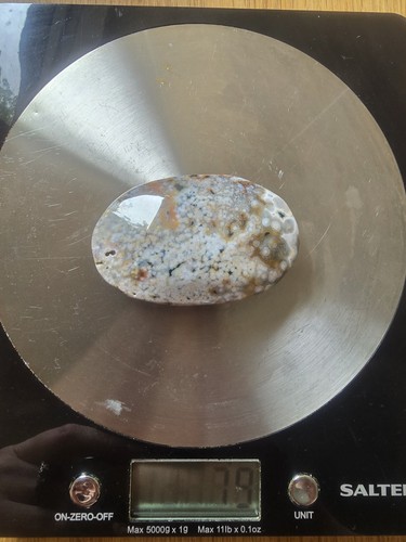 Ocean jasper polished palm - polished,