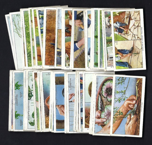 Wills garden hints near - -,