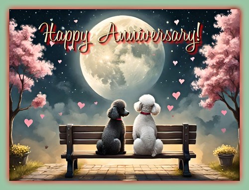 Happy anniversary poodle card - anniversary,