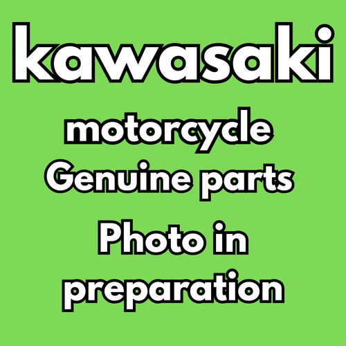 Kawasaki oem vulcan1500 1600 - kawasaki,