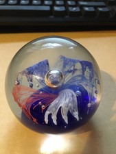 GLASS PAPERWIEGHT NO NAME