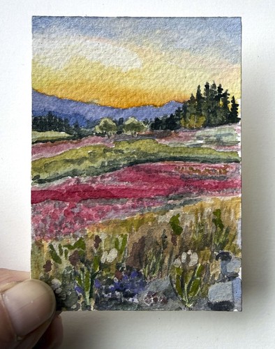 Ooak aceo pink flower fields - ooak,