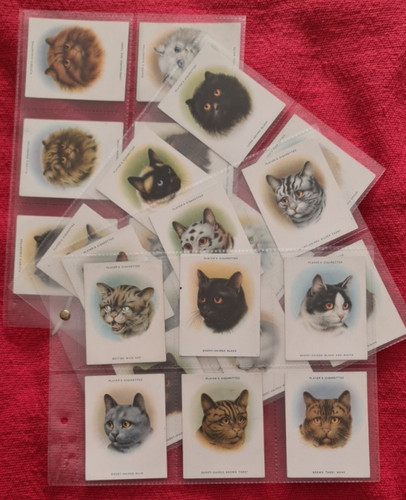 Cats john players set - cats,