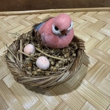 Birds Nest And Eggs 