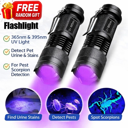 Led flashlight torch - uv,