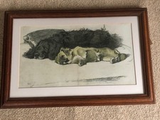 Cecil Aldin , Rouge Gagne-