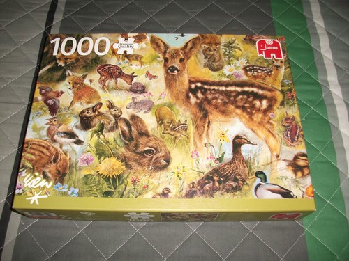 Jumbo 1000 piece jigsaw puzzle - 1000,