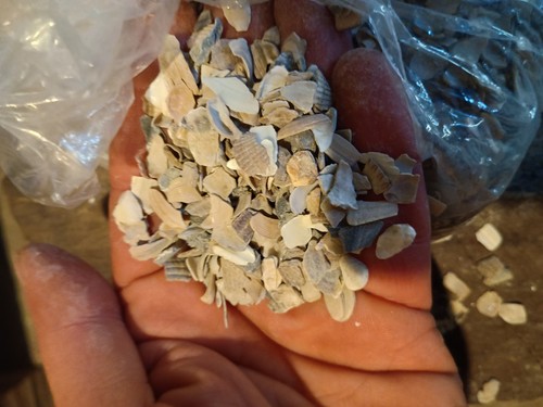 Crushed oyster shells 250g - crushed,
