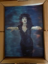 The Kate Inside – Guido Harari Signed Limited Edition Photography Book Kate Bush