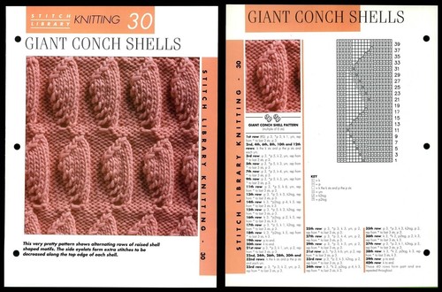 Giant conch shells - shells, #30