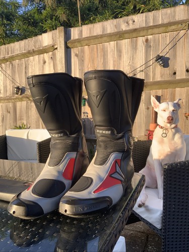 Dainese boots great condition - boots,