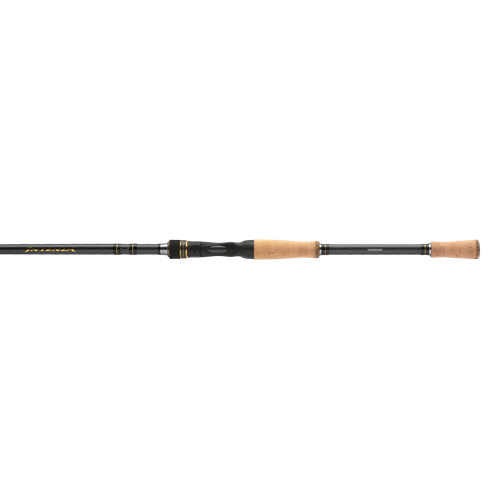 Shimano intenza casting - shimano,