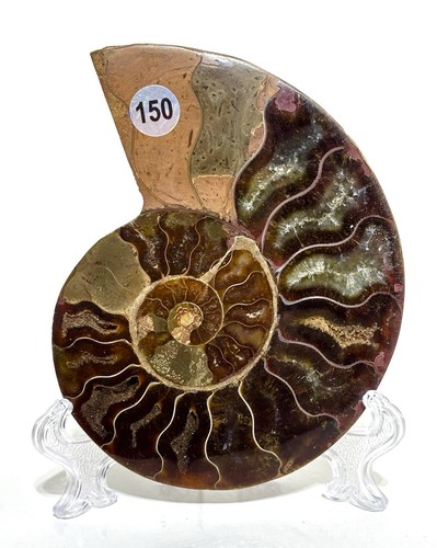 Large 3cm madagascan crystal - madagascan,