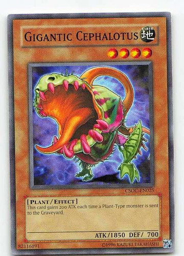 Gigantic cephalotus csoc en025 - gigantic,