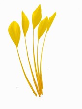 Long Fascinators Feathers