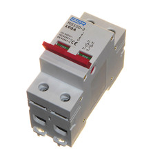 100 Amp Double Pole Main