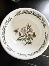 Portmeirion Botanic Garden