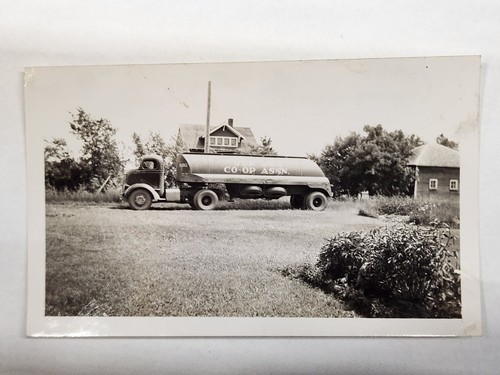 Found photo our - found,
