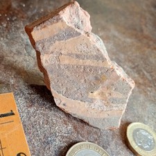 Medieval Church Abbey Floor