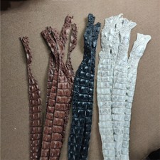 2PCS Real Alligator Crocodile