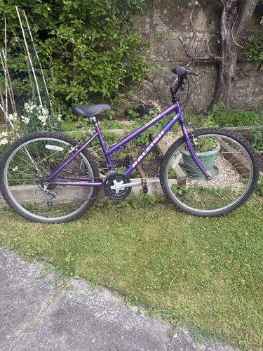 Raleigh zing mountain bike - raleigh,
