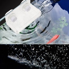  Aquarium Accessories Fish