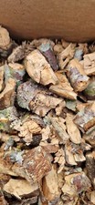 Soil Enrichment Wood Mix Insect Isopod Millipede Wood Chips Arthropods