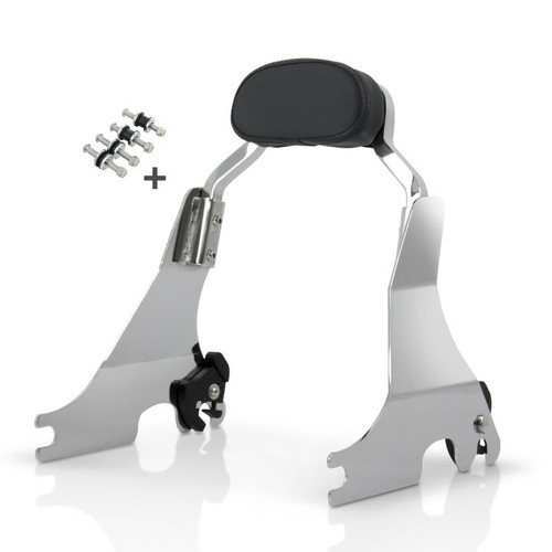 Sissy bar for - for, harley