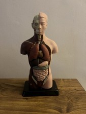 Edu-Toys Scientific biology