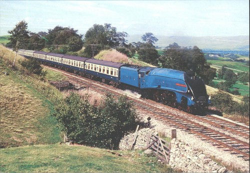 Sir nigel gresley - nigel,