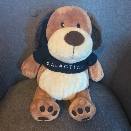 Alton towers galactica - alton, dog