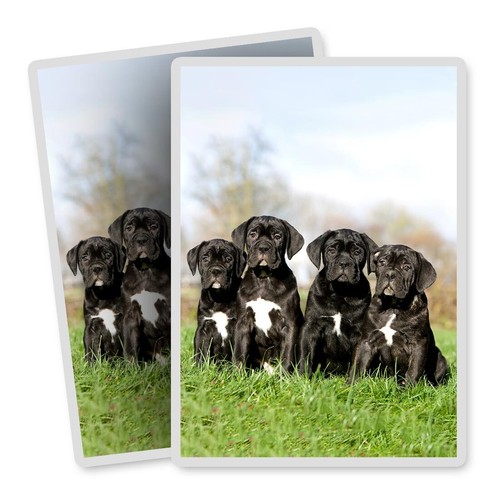 Vertical vinyl stickers - 2x,