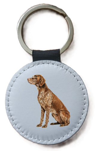 German short haired pointer - short,