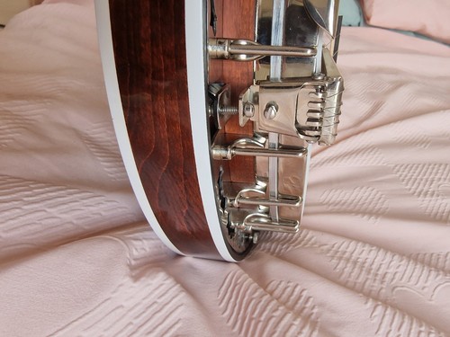 Deering eagle resonator - eagle, ii