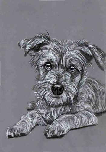 Original pencil drawing - original, b&w