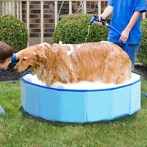 Large foldable dog - large,