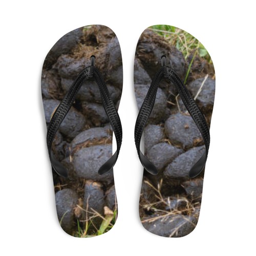 Flip flops manure animal poop - manure,